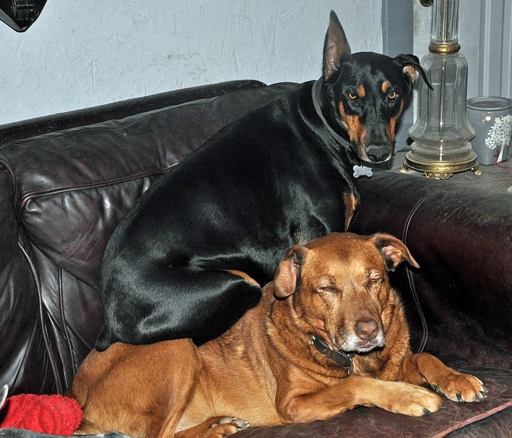 SablesittingOnKarma 720